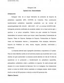 Kangupor Ltda. Capítulo Uno: Generalidades