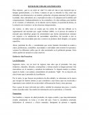 Reporte ESTILOS DE VIDA DE LOS PERUANOS