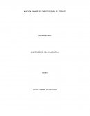 Agenda Caribe: elementos para el debate. Pacto por un Nuevo Caribe