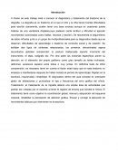 Dificultad para hacer las tareas de la escuela en el hogar.