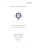 Investigacion en las RRPP