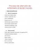 Proceso de atención de enfermería al recién nacido