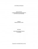 Articulo investigativo