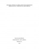 SANCIONES A PERENCO COLOMBIA LIMITED POR INCONSISTENCIAS AMBIENTALES EN EL TRANSPORTE DE HIDROCARBUROS