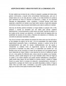 Adopcion de niño y niña por parte de la pareja del mismo sexo