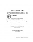 Metodología de la investigación Causas que llevan a una persona a cometer el delito de homicidio