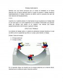 TRABAJO MECANICO EFECTO DE TRABAJO