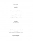 Momento 2 Teorización acerca de posibles soluciones