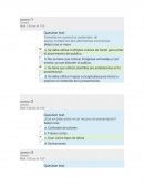 Fundamen
