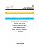 Producción de gladiolos