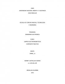 TRabajo practico campos electromagneticos. Página 1