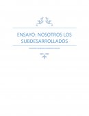 Ensayo de ing. económica