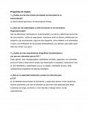 Comportamiento Organizacional