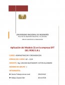 Monografia Administracion - Modelo 5S