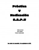 Práctica Y Medicación