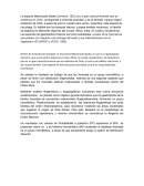 Macrocyclis laxata es un gran caracol terrestre