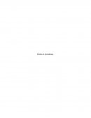 Estilos de Aprendizaje