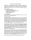 Caracteristicas de los equipos afectivos