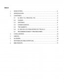 El sida monografia