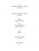 TRabajo practico campos electromagneticos