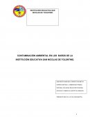 CONTAMINACION AMBIENTAL EN LOS BAÑOS DE SANTO TOMAS DE TOLENTINO