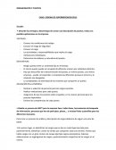 ORGANIZACIÓN Y PUESTOS CASO: CADENA DE SUPERMERCADOS ZEUS