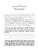 Vinculo social mini mapa