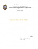 La profesión como funcion social