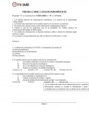 MMC Y TEXTOS PERIODÍSTICOS