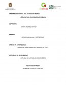 DESARROLLO DE LA ACTIVIDAD. ESTRATEGIAS PARA ADMINISTRAR EL TIEMPO