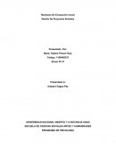 Diseño de Proyectos Sociales. Desarrollo De La Actividad Individual