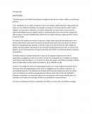Ensayo sobre pelicula