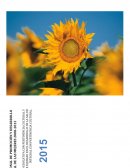 POLÍTICA NACIONAL DE PROMOCIÓN Y DESARROLLO INTEGRAL DE LAS MUJERES 2008-2023