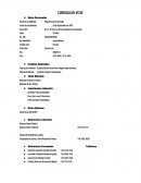 Ejemplo de Curriculum Vitae