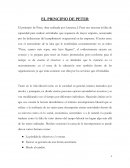 El principio de Peter. Ensayo