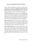 Mantenimiento Preventivo de Software