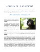 Origen de la agrecion