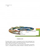 Evolucion
