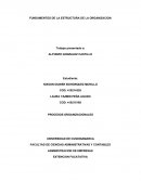 Procesos organizacionales