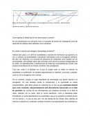 Descripcion de navegacion