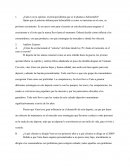 VANS. Volando en monopatín.