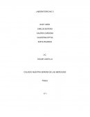 Laboratorio espejos planos y esfericos