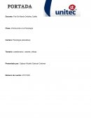 Guia de trabajo Introducción a la Psicología