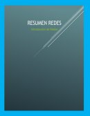 Antecedentes y conceptos principales de una red