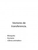 Vectores y ciclo de vida