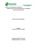 Informe tecnico: control de contaminacion atmosferica