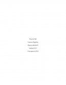 Proyecto deHigiene industrial II