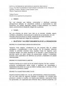 Trabajo Practico Diseño de una organización petroquimica