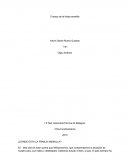 Ensayo de la franja amarilla