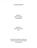 Actividad Antrpología ¿Cuáles son los campos de especialización o sub-disciplinas de la antropología?